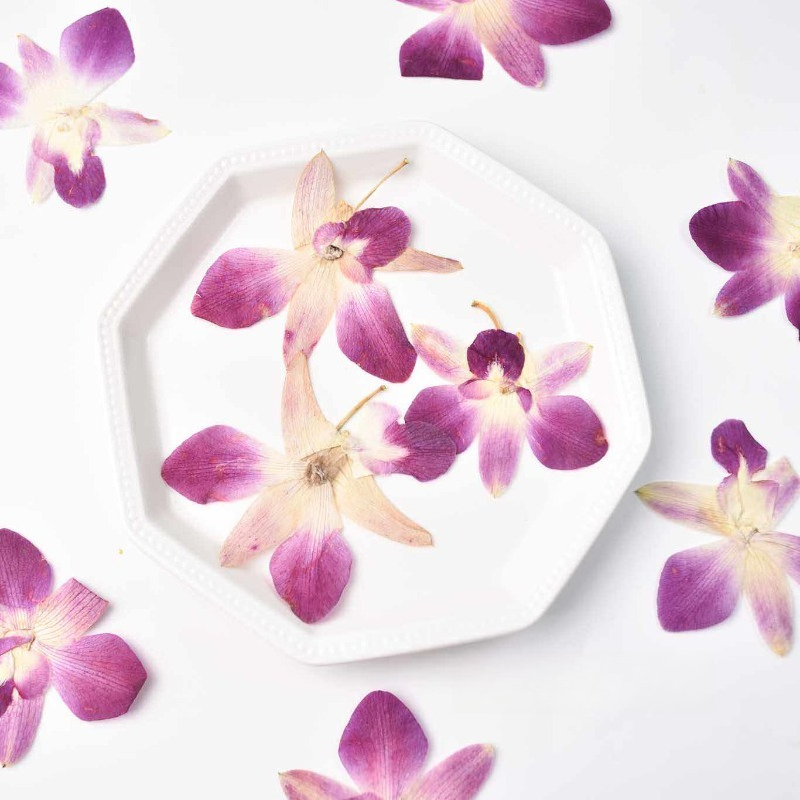 Resin Art Frame - 4 adet, Gerçek Preslenmiş Kelebek Orkide