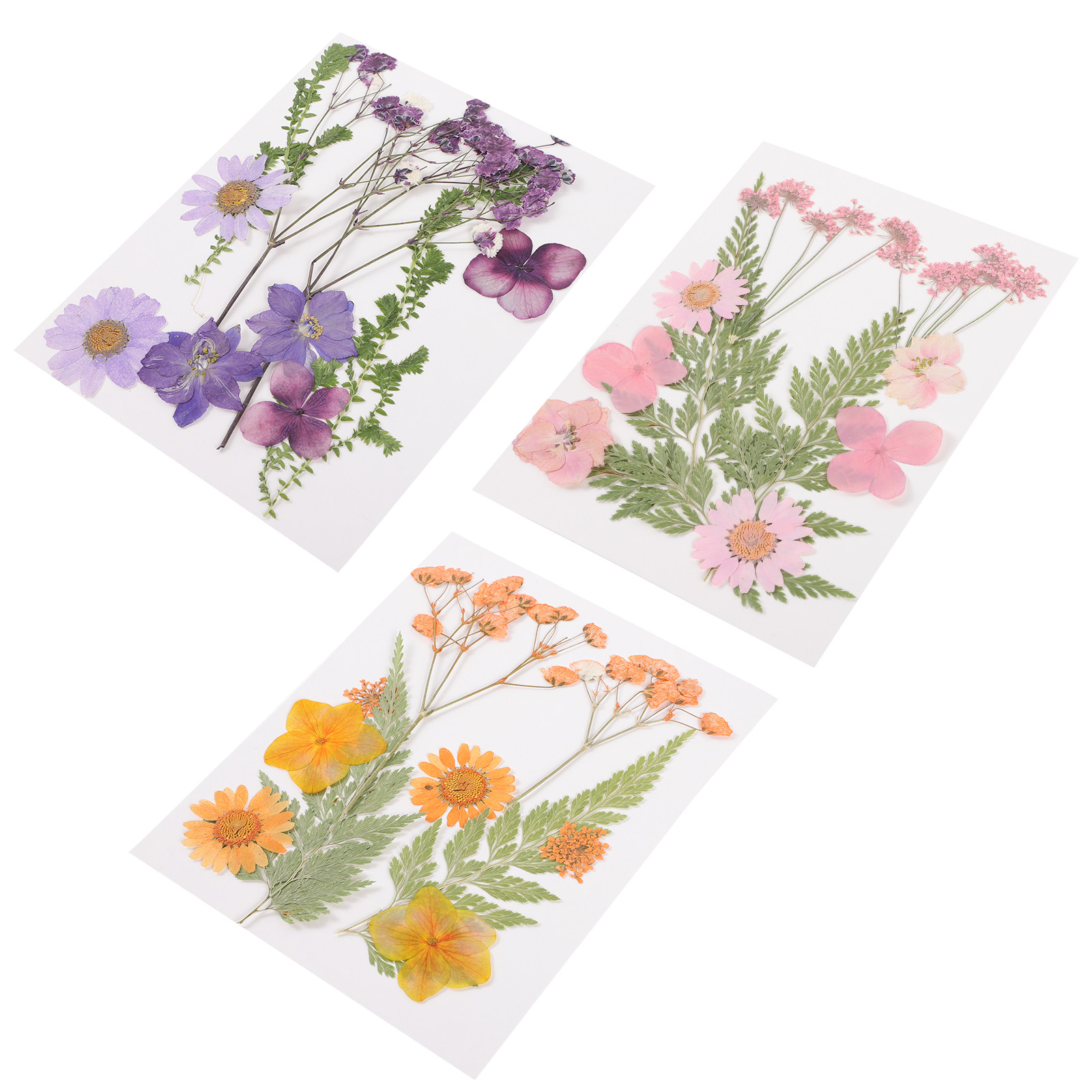 Dried Flower Pressed - Kurutulmuş Çiçekler Dekorasyon Malzemesi 3 Set