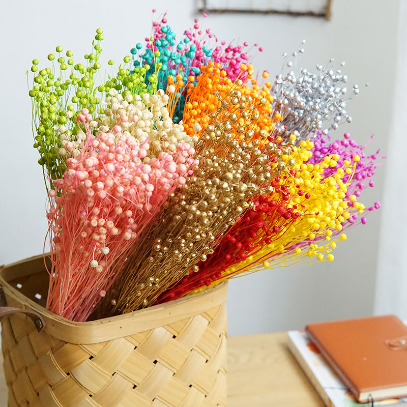 35g/Korunmuş Ormosia Hosiei Do - Dried Flower Pressed incelemesi ve fiyatı