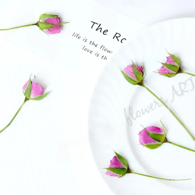Preslenmiş Gül Tomurcuğu Çiçek - Dried Flower Pressed incelemesi ve fiyatı