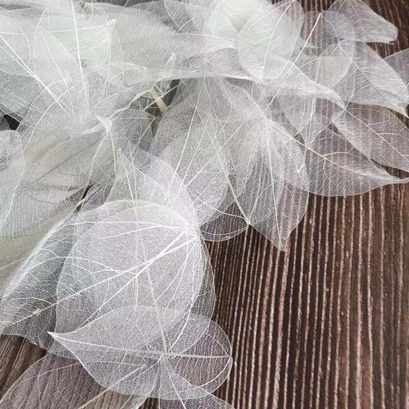 5 ~ 9 CM * 2 ~ 3.5 CM, 100 ADE - Dried Flower Pressed incelemesi ve fiyatı