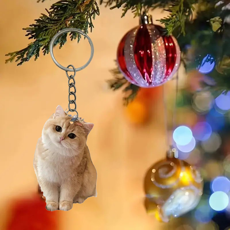 Siyah Ve Beyaz Kedi Anahtarlık - Resin Art Design Keychain incelemesi ve fiyatı
