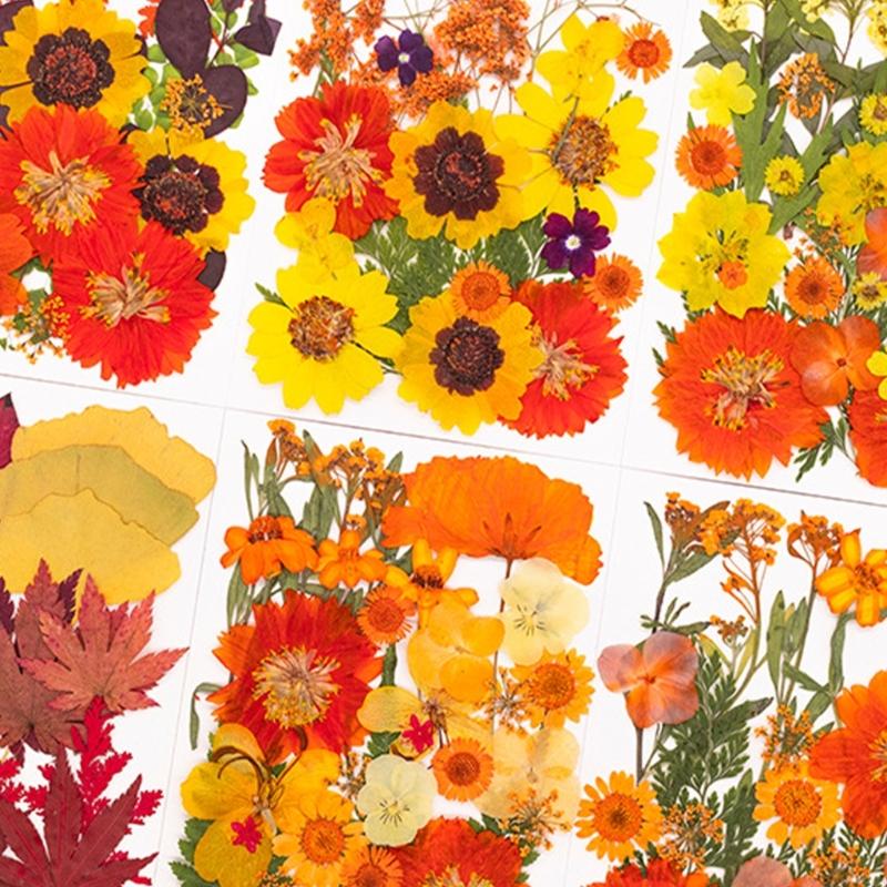 Reçine Kalıpları için Kurutulm - Dried Flower Pressed incelemesi ve fiyatı