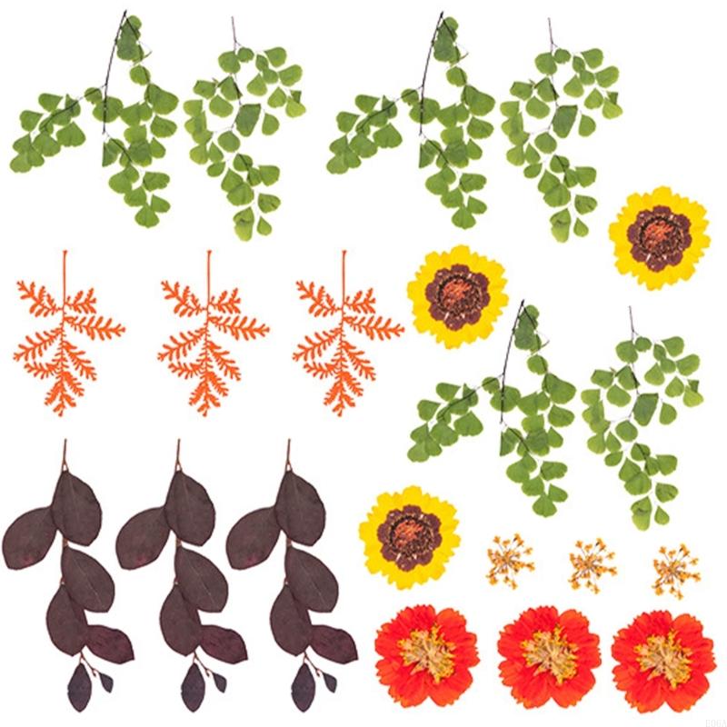 Reçine Kalıpları için Kurutulm - Dried Flower Pressed incelemesi ve fiyatı