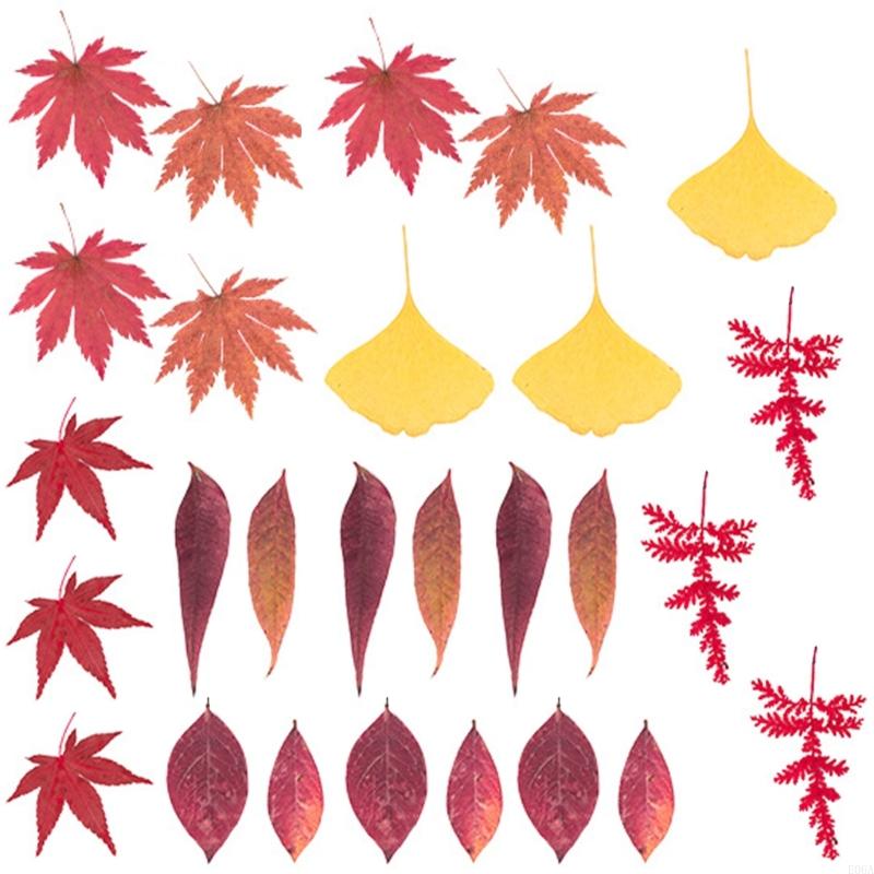 Reçine Kalıpları için Kurutulm - Dried Flower Pressed incelemesi ve fiyatı