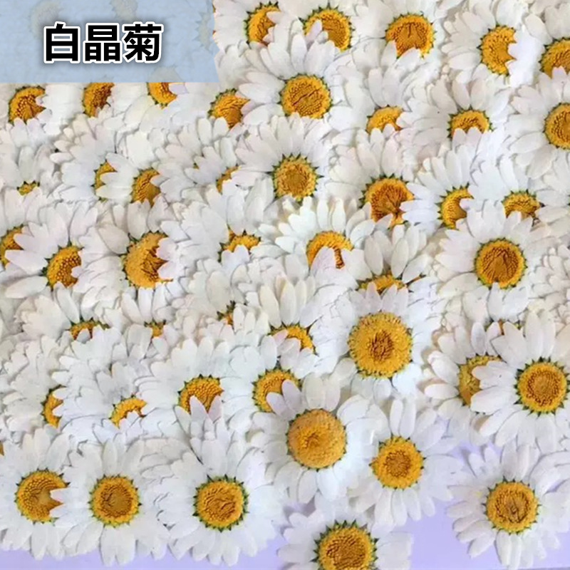 100 Adet Doğal Beyaz Kristal K - Dried Flower Pressed incelemesi ve fiyatı