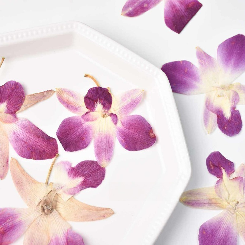4 adet, Gerçek Preslenmiş Kele - Resin Art Frame incelemesi ve fiyatı