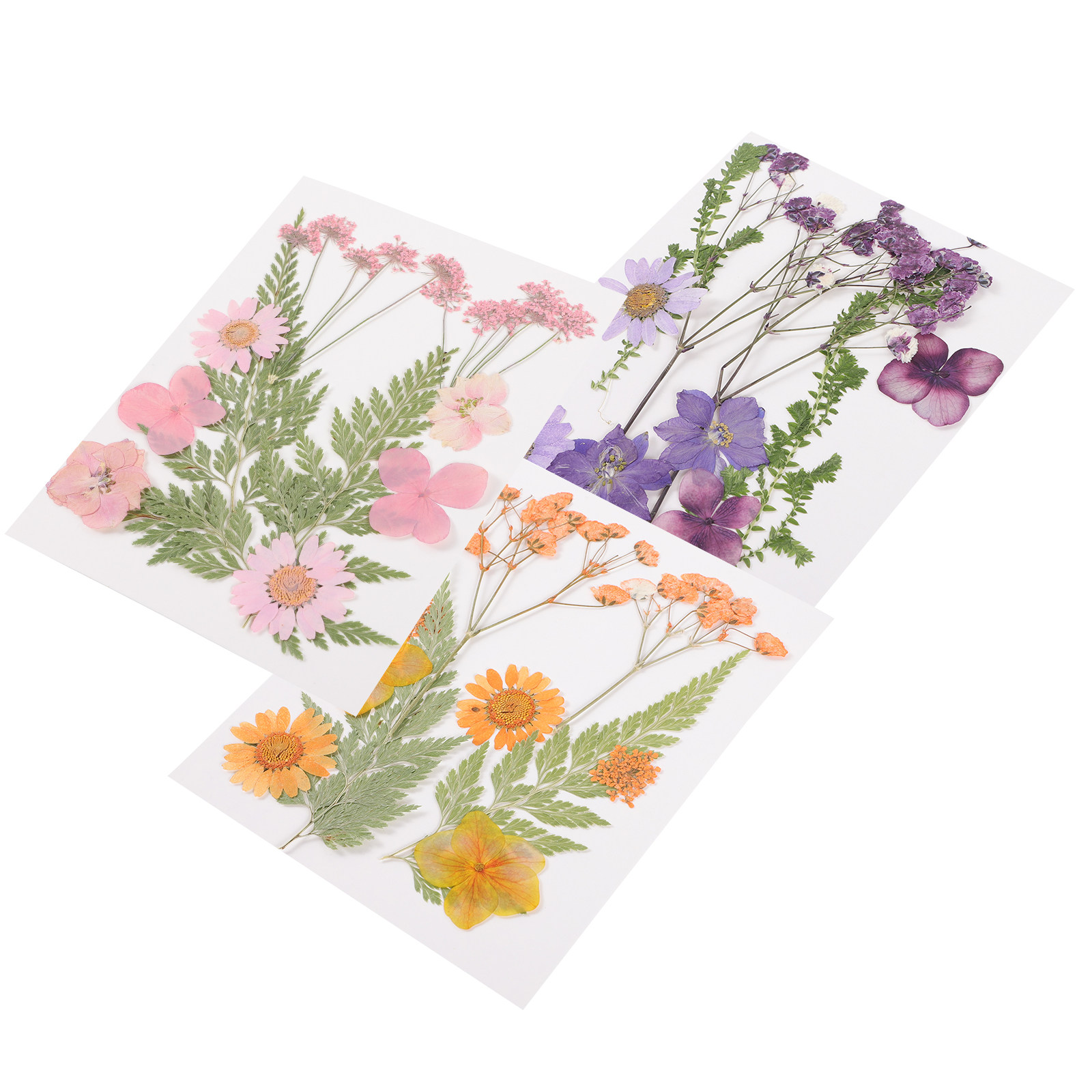 Kurutulmuş Çiçekler Dekorasyon - Dried Flower Pressed incelemesi ve fiyatı