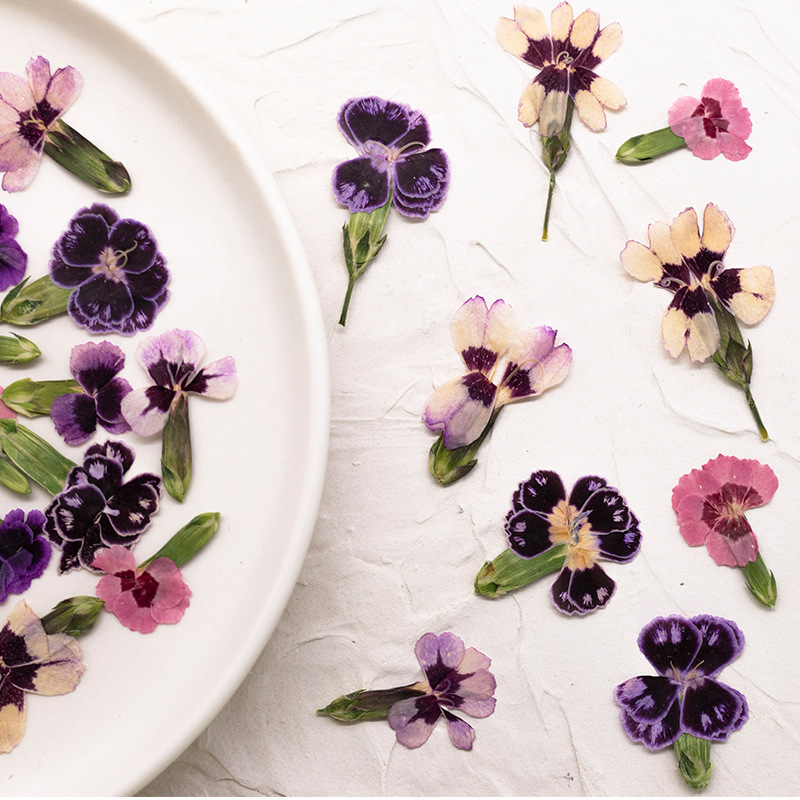 24 adet, Preslenmiş Kurutulmuş - Dried Flower Pressed incelemesi ve fiyatı